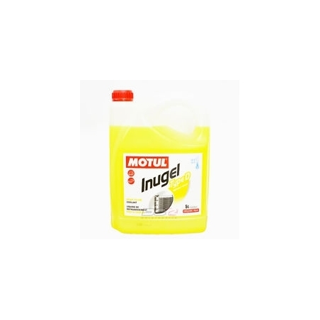 MOTUL Inugel jaune Type D 5L : 107785